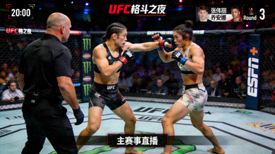 UFC格斗之夜主赛事直播画面
